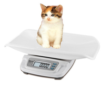 Small Pet Scale