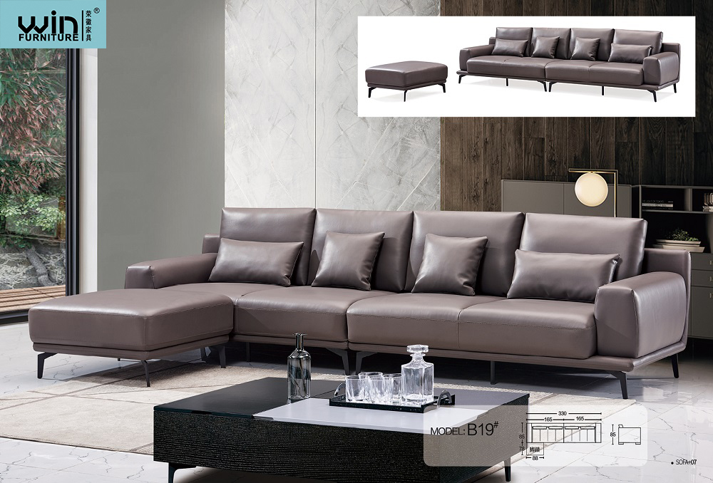Living Room Sofa