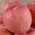 xianglu सेब 9 उच्च गुणवत्ता उपहार बॉक्स