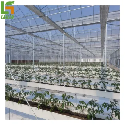 Gutter Support Hydroponics Tomato Greenhouse for Sale