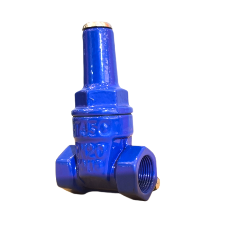 Soft seal thread with lock Gate valve