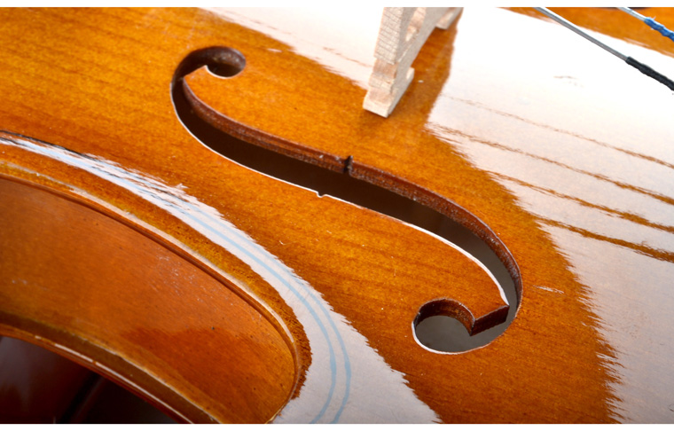 R 30 14 Violin Instrument