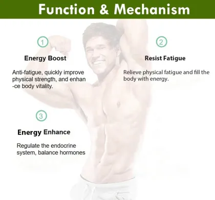 Natural Herbs Instant Maca Ganoderma Extract Coffee Powder