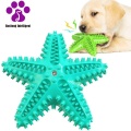 Interactive Dog Chew Toy for Healthy Teeth