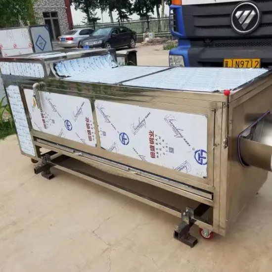Vegetable Washing and Polishing Machine for Food Processing Plants