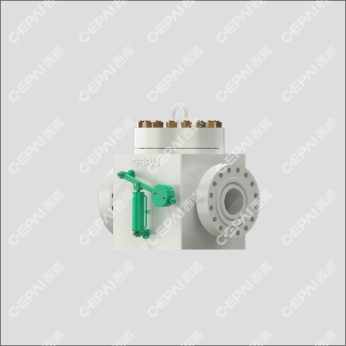 Swing check valve