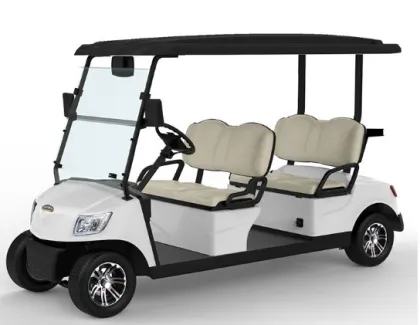 Four Seater Golf Cart from Green Enjoyment Company
