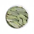 /msite/products/detail/productid/68331170/id/1580676.html