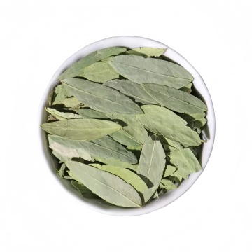 Detoxification and Digestive Health Benefits of Sanna Leaf