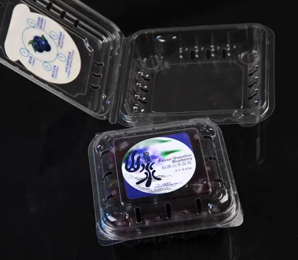 Automatic Packing Vacuum Forming Egg Tray Plastic Thermoforming Machines