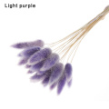 light purple type1