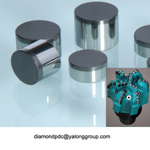 1310 pdc drill bit insert