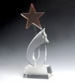 Star awards HDSA1001