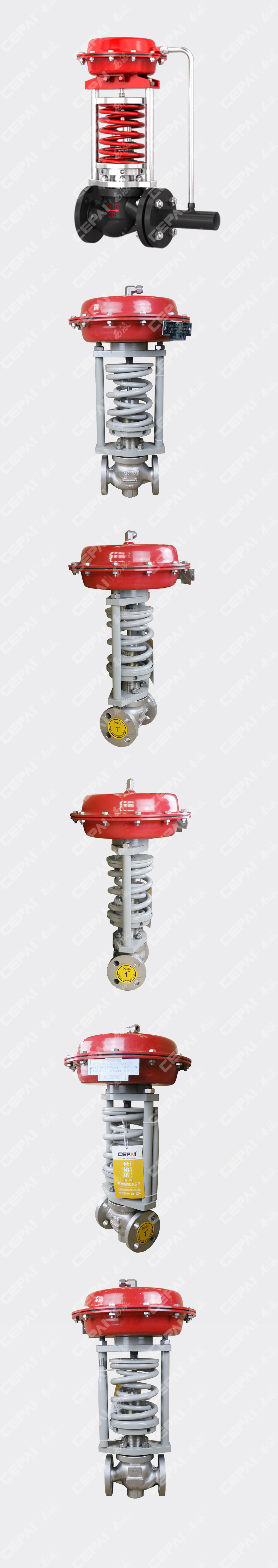 Self-operated Control Valve