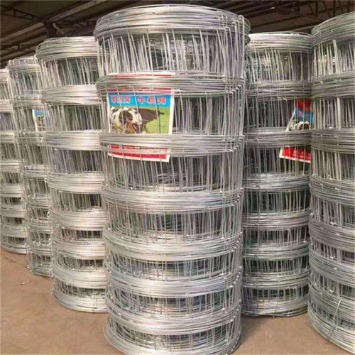 hot dipped galvanized high quality