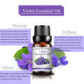 Pure Violet Essential Oil Perfume Extracto esencial orgánico