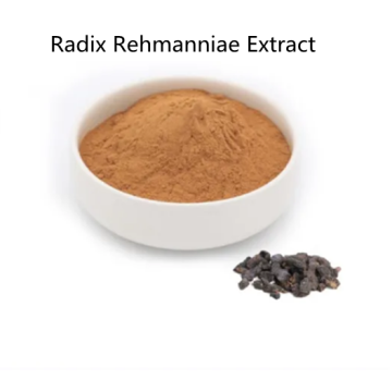 Buy online active ingredients Radix Rehmanniae Extract