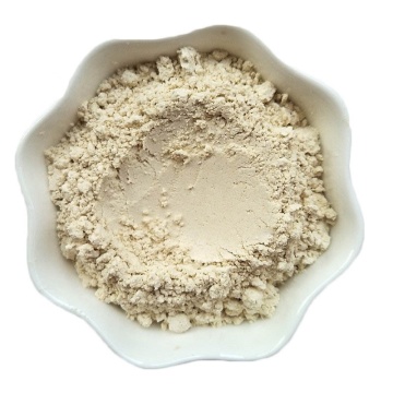 Best Price Extract Lily Bulb Raw Material Powder