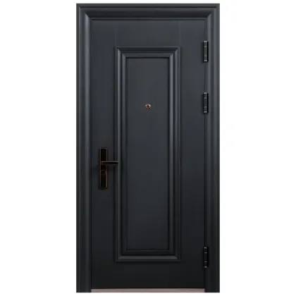 Modern Steel Door Design for Hotels and Apartments