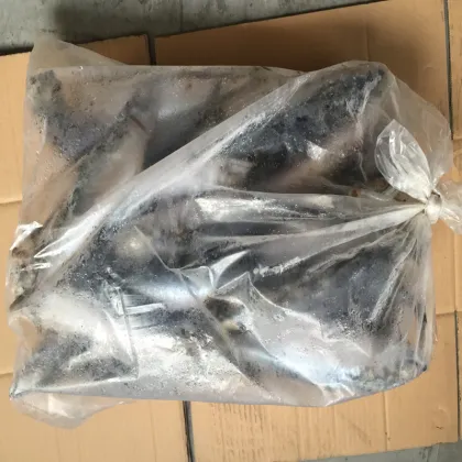 seafood sea fat round ship frozen pacific mackerel raw material block in stock