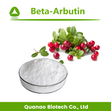 Alpha-Arbutin Powder 99% Skin Whitening Material