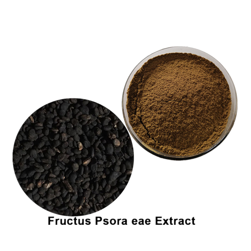 Fructus Psoraleae Extract Psoralen