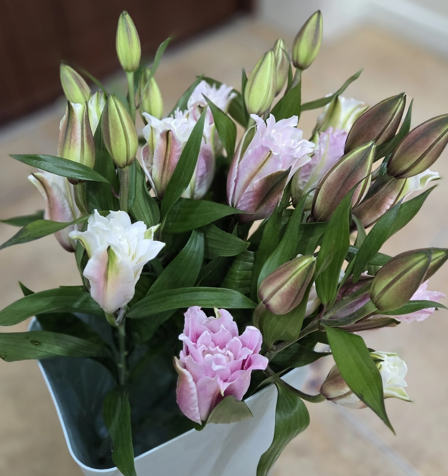 Isabella Double Spray Lily