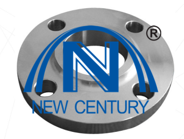 British Standard stainless steel flanges