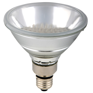 PAR38 SMD LED PAR lamp