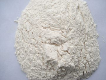 Garlic powder