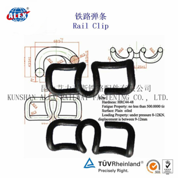 Chinese Rail clip Plain or colored SGS proved factory