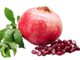 Fresh Soft Seed Pomegranate for Premium Fruit Market
