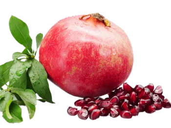 Fresh Soft Seed Pomegranate for Premium Fruit Market