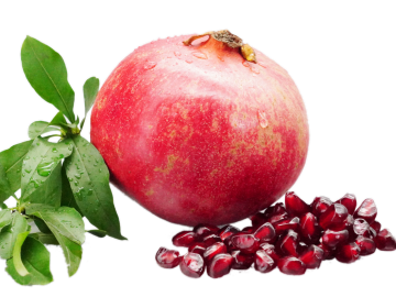 Fresh Soft Seed Pomegranate for Premium Fruit Market