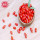 Goji berry / Wolfberry / Yüksek Beslenme goji berry