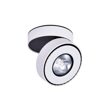 LEDER COB LED-Schienenbeleuchtung