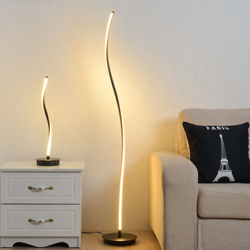 Modern Monochrome Warm Light Art Designer Floor Lamp