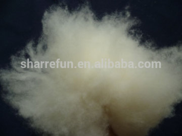 Sharrefun factory process pure dehaired and carded cashmere fiber natural white