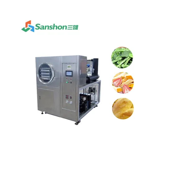 Low-Price Durian Vacuum Freeze Dryer Freeze Drying Machine Stainless Steel Lyophilizer