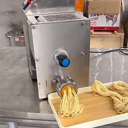 Commercial Pasta Machine & Noodle Maker for Fresh Noodles