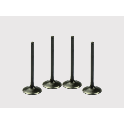 Exhaust Valve Replacement for Vehicle