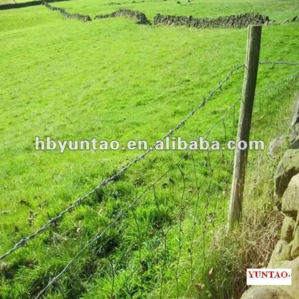 Competitive Price Galvanized Farm Guard Field Fence