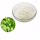 Natural Centella Asiatica Extract Asiaticoside Powder