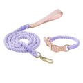 pet leashes + collar 4