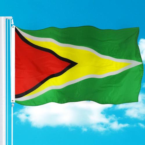 Wholesale Silk Printing Polyester Guyana Flag