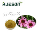 สารสกัด Echinacea ธรรมชาติบริสุทธิ์ 100%