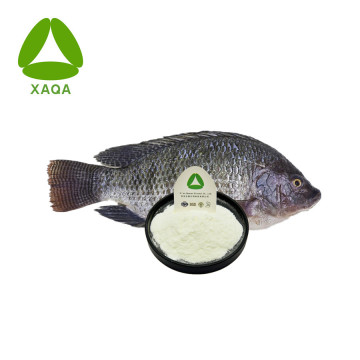 Collágeno de escala de pescado CAS 9064-67-9