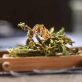 Dandelion Extract Powder Used as Food Additive
