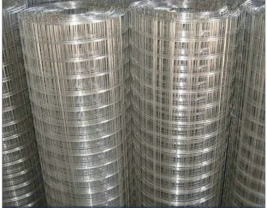 316 Stainless Steel Roof Safety Welded Mesh