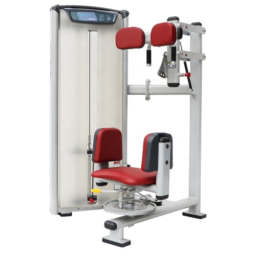 Fitness Ekipman Ticari Gövde Rotasyon Makinesi Satılık